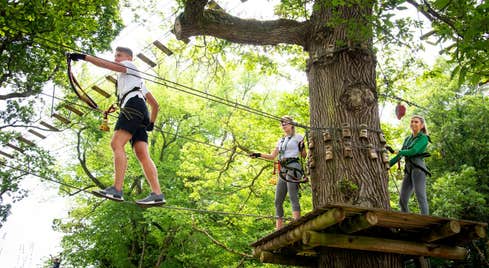 Two people ziplining through the trees with the guidance of an instructor at Lough Key Zip Line