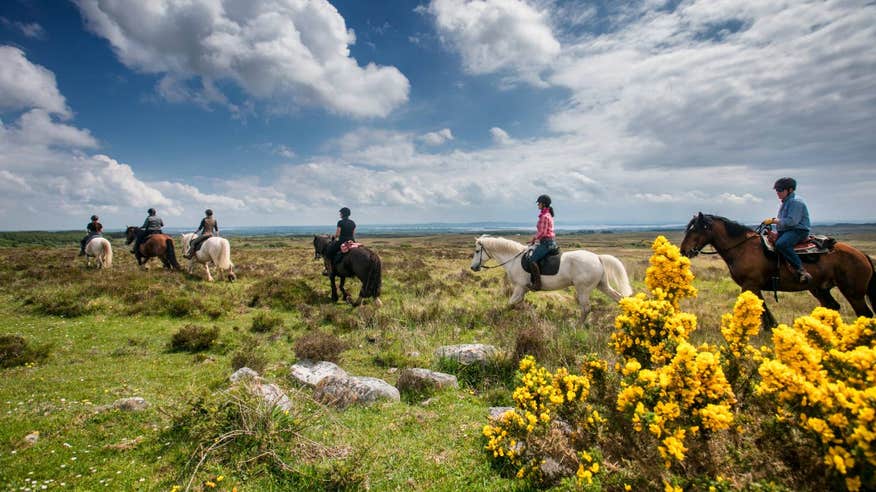 Group of people riding horseback through a field.