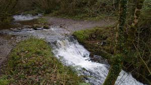 Ballycuggaran Loop Walk