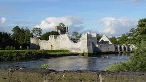 Desmond Castle, Adare