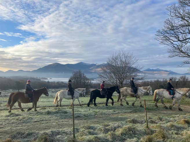 Group riding horses through Killarney in winter.