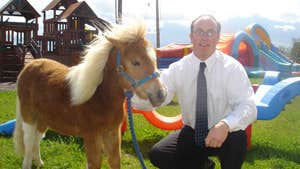 Mellowes Adventure & Childcare