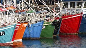 Boats at Greencastle Marina
