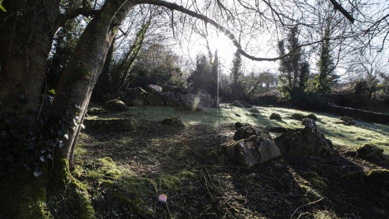 The Road to the Otherworld: Bus Tour of Lough Gur