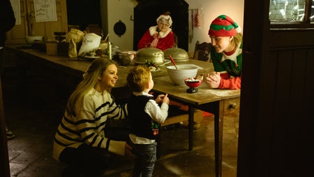 A Christmas to Remember at Newbridge House and Farm