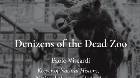 Denizens of the Dead Zoo.
