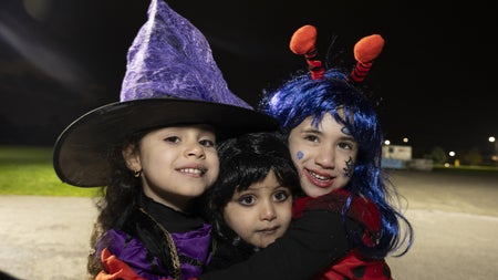 Fun and Fireworks. Millennium Park Blanchardstown