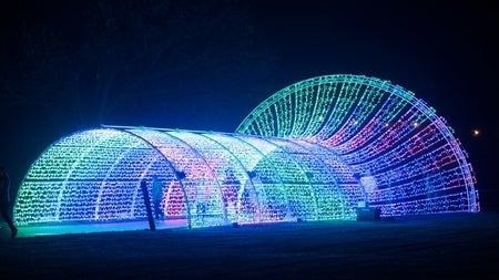 Wonderlights at Marlay Park