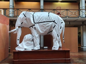 Model elephant wrapped in white paper and back tape standing on a wooden display