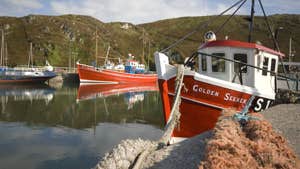 Cape Clear Island - Cléire