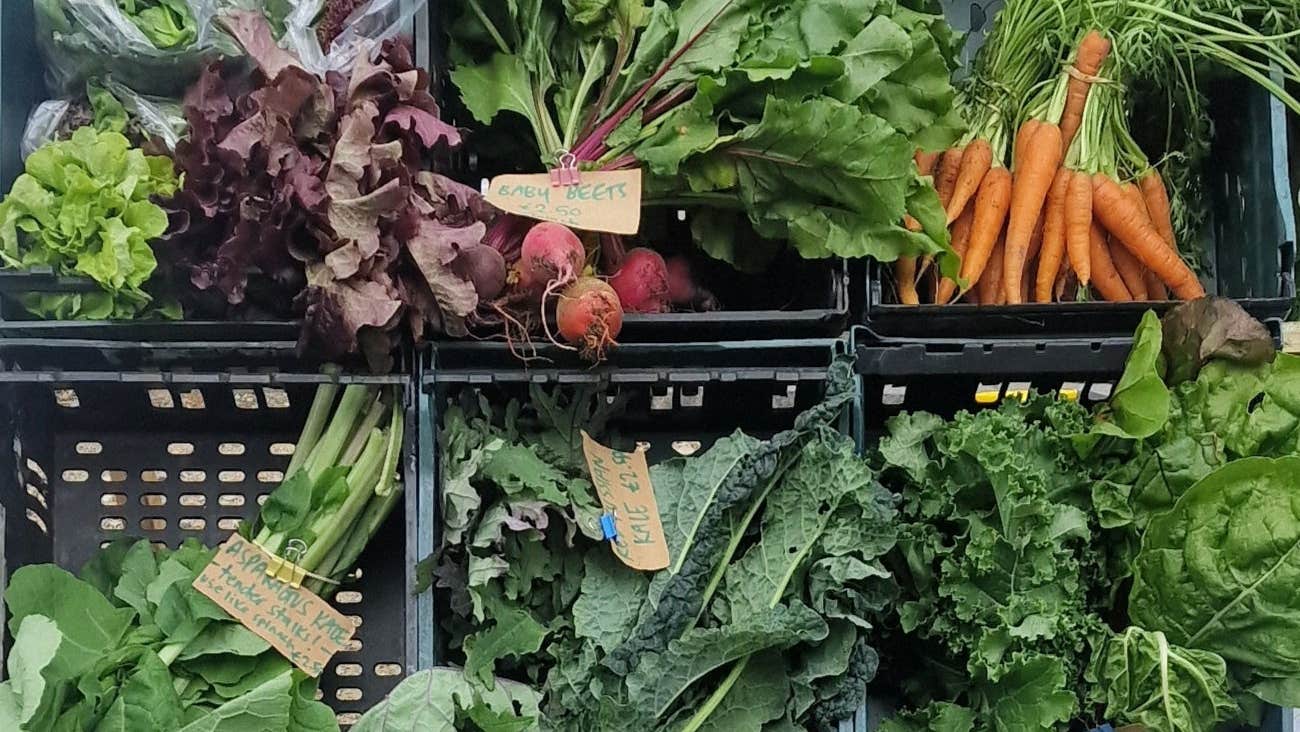 Green crates of fresh vegetables on display for sale