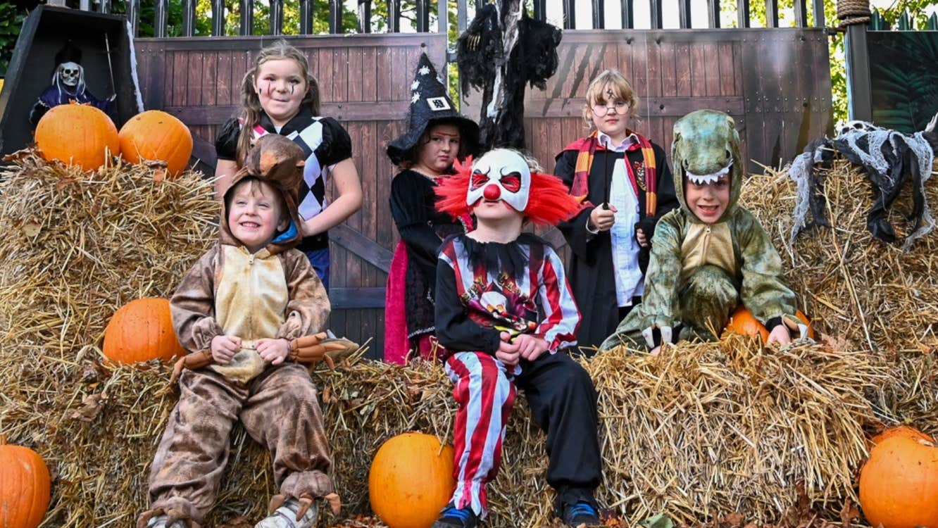 Join us for an exciting Halloween event at Jurassic Newpark, where you can immerse yourself in the magical world of Harry Potter, decorate chocolate apples, take part in a wicked walk scavenger hunt, and explore the scare room.