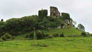 Carrigogunnell Castle