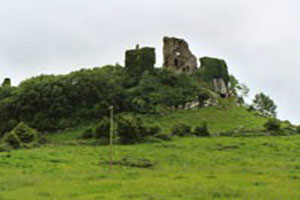 Carrigogunnell Castle, Limerick City, Limerick