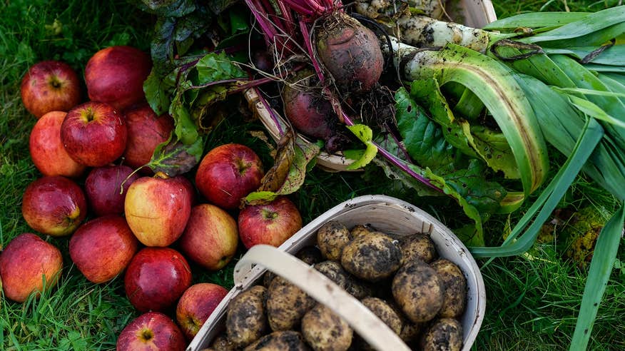 Make the most of Ireland's produce.