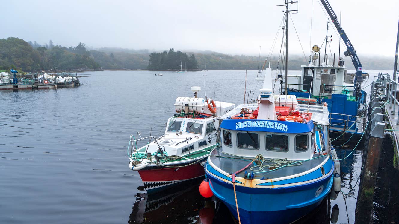 Boats docked at Glengarriff Harbour in County Cork.