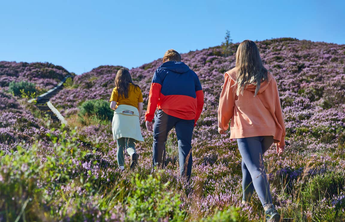 Three people walking the Ridge of Capard in Slieve Bloom in County Laois