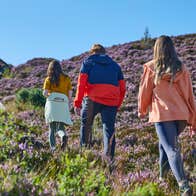 Three people walking the Ridge of Capard in Slieve Bloom in County Laois