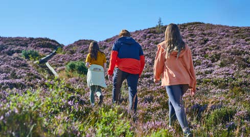 Three people walking the Ridge of Capard in Slieve Bloom in County Laois