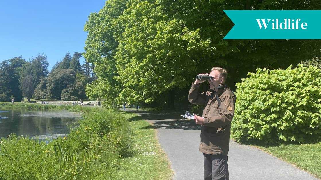 Harm Deenen, wildlife expert overlooking the castle lake on a nature survey walk around Johnstown Castle