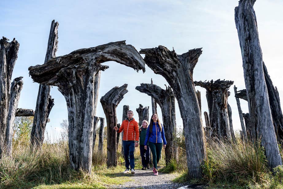 Three people wandering through the Lough Boora Discovery Park in Offaly.