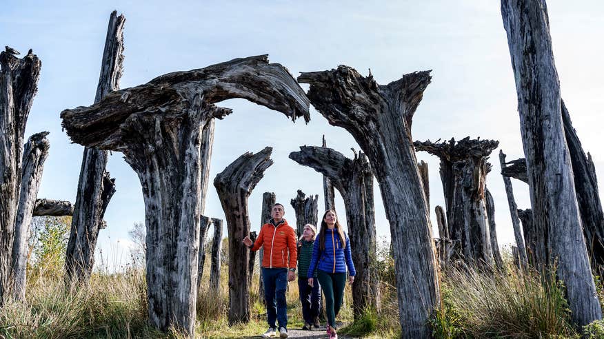 Three people wandering through the Lough Boora Discovery Park in Offaly.