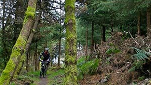 Ballyhoura Mountain Bike Trails