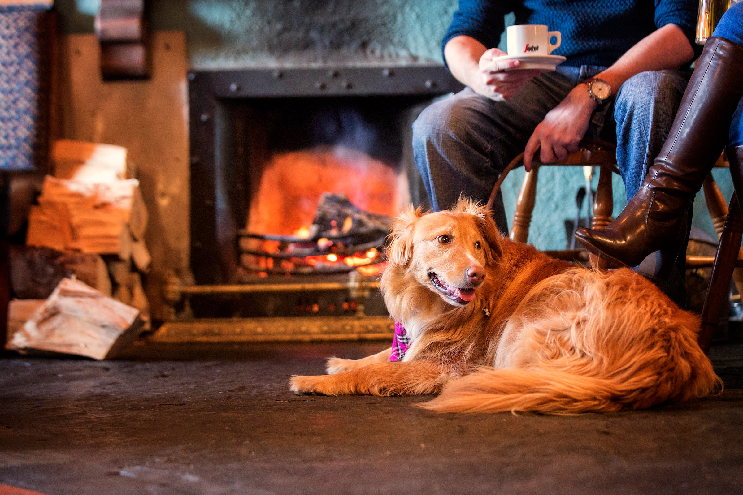 Golden retriever dog laying at his owners feet on front of an open fire in an Irish pub.