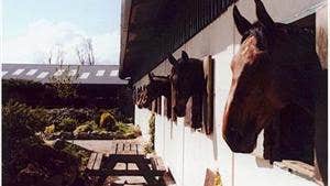 Annaharvey Farm Equestrian Centre