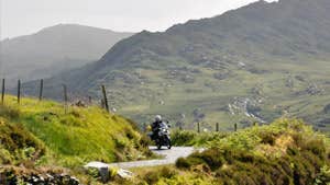 Celtic Rider