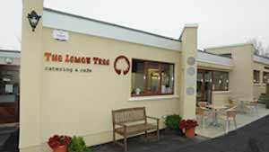 The Lemon Tree Catering & Cafe