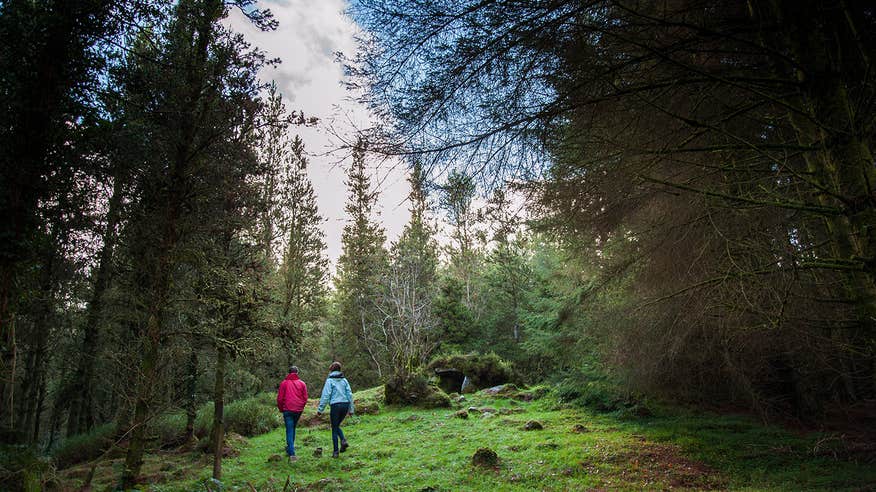 Two people walking through the forest in Cavan Burren Park