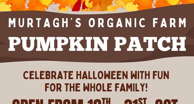 Pumpkin Patch at Murtagh's Organic Farm