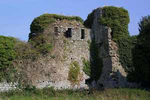 Clonmore Castle, Hacketstown, Carlow
