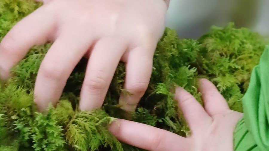 Mindfully exploring our surroundings through our senses can be enjoyable, relaxing and a great way to connect to nature.