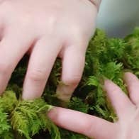 Mindfully exploring our surroundings through our senses can be enjoyable, relaxing and a great way to connect to nature.