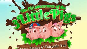 The Misadventures of the 3 Little Pigs