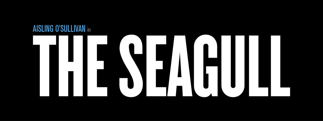 Black background with white text saying 'The Seagull'