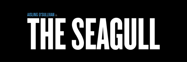 The Seagull
