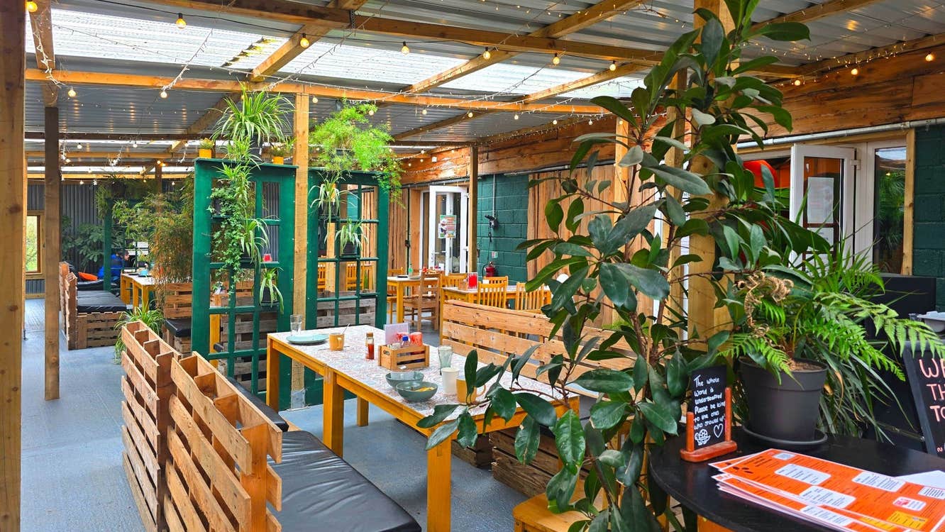 Inside a café with wooden tables and chairs and tall green plants placed around them