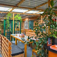 Inside a café with wooden tables and chairs and tall green plants placed around them