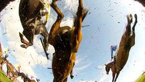 Goffs Bloodstock Sales