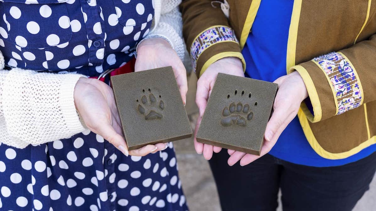 Footprints from the handling collection