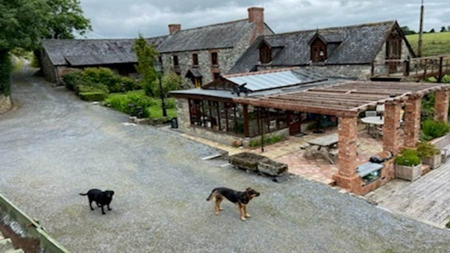 Exterior and patio area