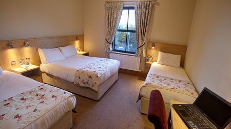 View of family room