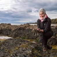 A lady forages amongst rocks on a beach for seaweed along the Copper Coast in Waterford