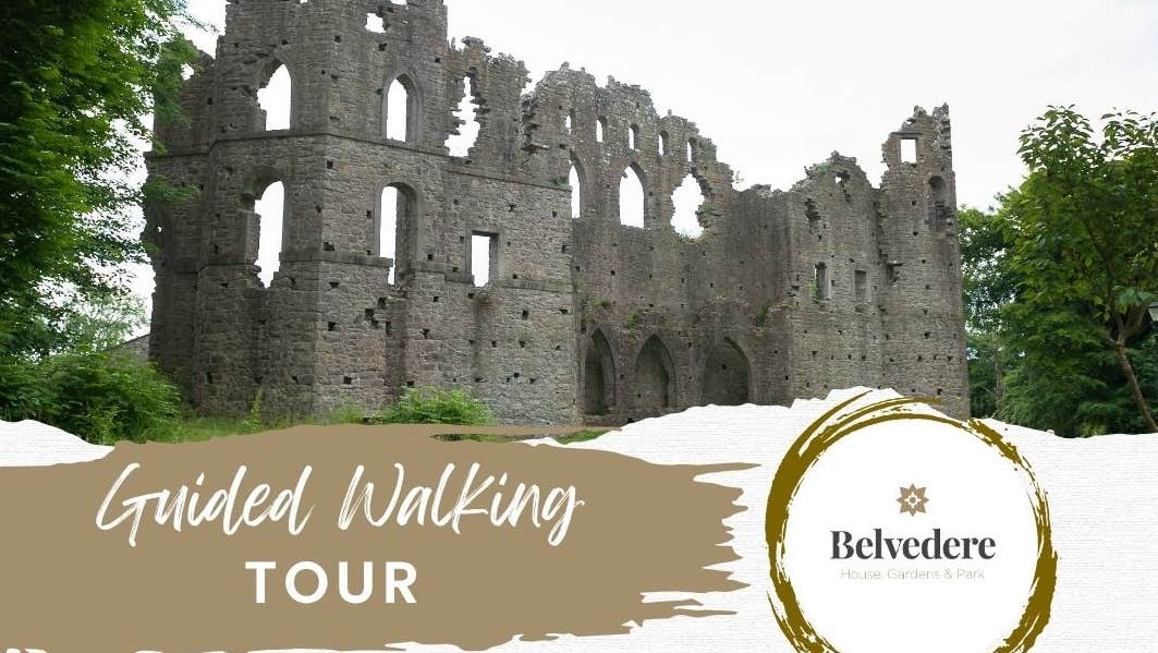 Belvedere Guided Walking Tours, poster with picture of a ruined castle