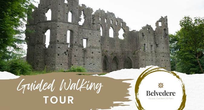 Belvedere Guided Walking Tours, poster with picture of a ruined castle