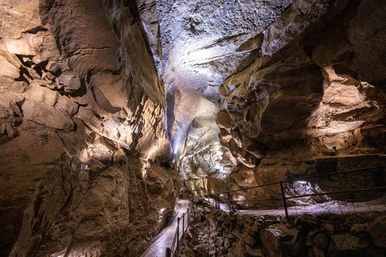 Aillwee Burren Experience: Cave Tours, Birds of Prey & Farm Shop