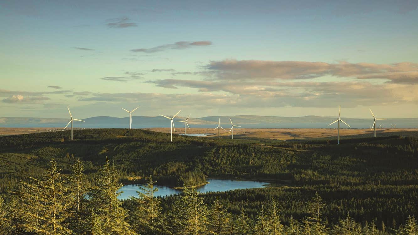 An aerial view of wind turbines in a wind farm surrounded by trees